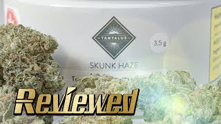 Skunk Haze by Tantalus Labs Reviewed!!
