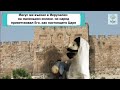 Детская библейская кукольная история въезд Иисуса в Иерусалим