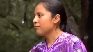 Catarina Tzep Sol De Justicia 360P