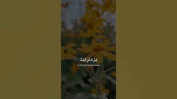 إني آمنت بربكم فاسمعون | القارئ محمد هشام حسن