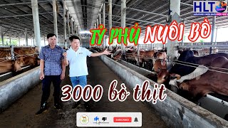 Xem video để tìm hiểu về câu chuyện của tỷ phú nuôi bò và cách họ thành công trong ngành nông nghiệp