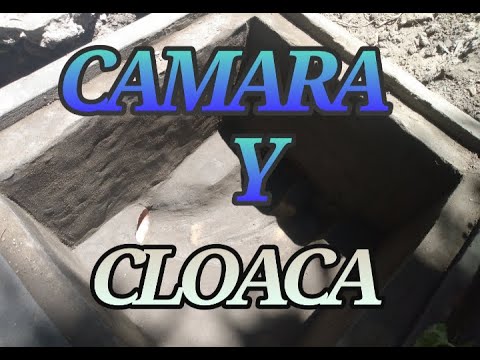 explorar Premio alegría como hacer una cámara de inspección de cloaca - YouTube