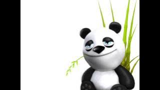 Csodálatos Coronita 2013