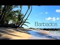 Barbados - from Dawn Until Sunset : The Crane, Bathsheba, Platinum Coast & Island Tour