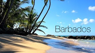 Barbados - from Dawn Until Sunset : The Crane, Bathsheba, Platinum Coast & Island Tour