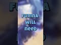 How To Build FURINA! | #Genshin #Furina #GenshinImpact