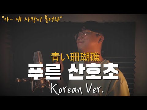 푸른산호초 한국어 커버｜korean version｜korean cover｜한국어 가사｜松田聖子｜SEIKO MATSUDA｜Aoi Sangosho｜青い珊瑚礁 (cover by 조팡)