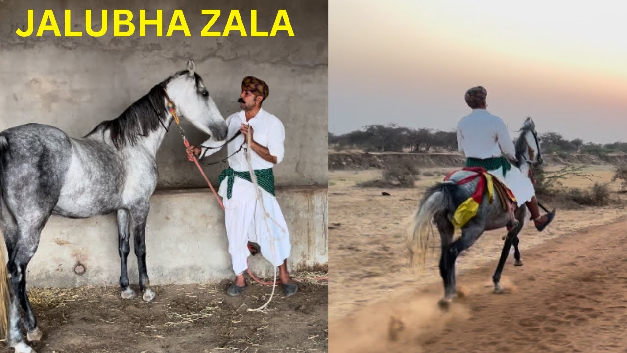 Jalubha Zala ne roji ka saman kiya aaj🔥🔥🔥