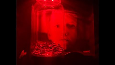 Alice in Chains Jar of Flies 30th Anniversary !!!