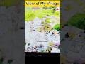 Village View #shorts #shortsvideo #hills #village #piece #view #villagelife #viralvideo #viralsong