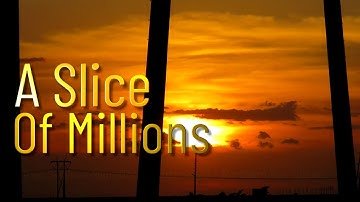 Tree Swallows, Migration path, March 2020, Upper Everglades WMA