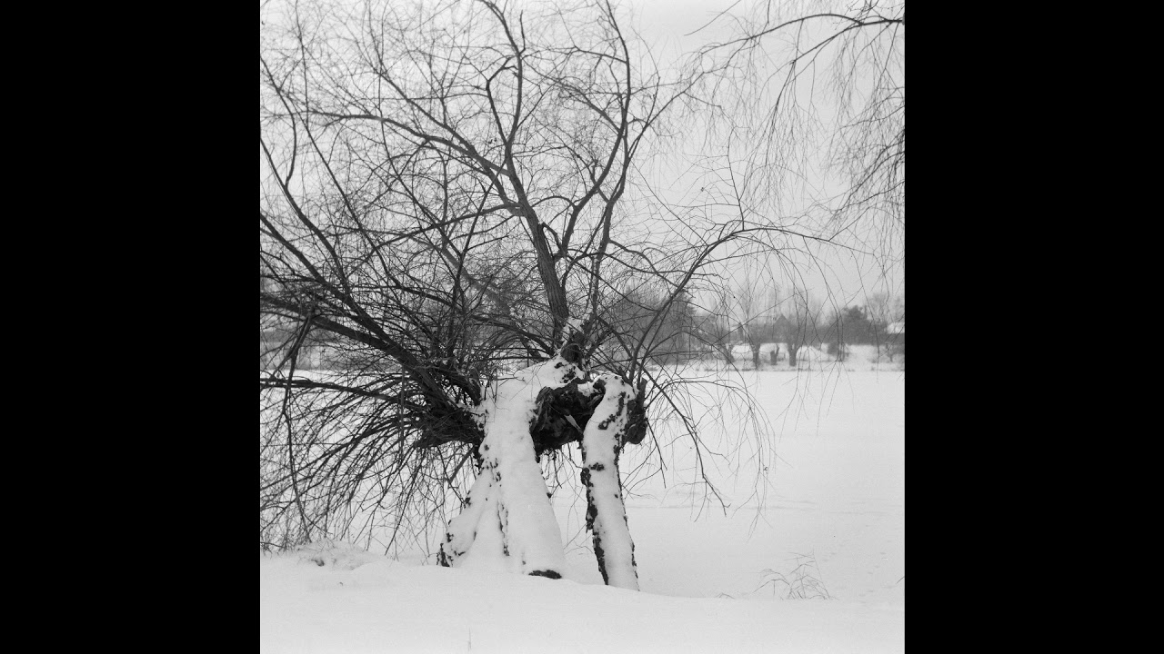 Winter through the Agfa Isolette I camera with Agnar 4.5 / 85 lens