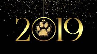 Happy New Year 2019 from LOBO