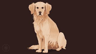 Pixel Dog Study Process