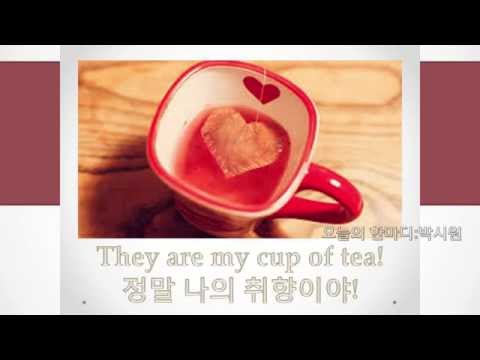 [KOAM-TV]  20151022 영어한마디_ They are my cup of tea! 딱 내스타일 이야 [코엠TV]