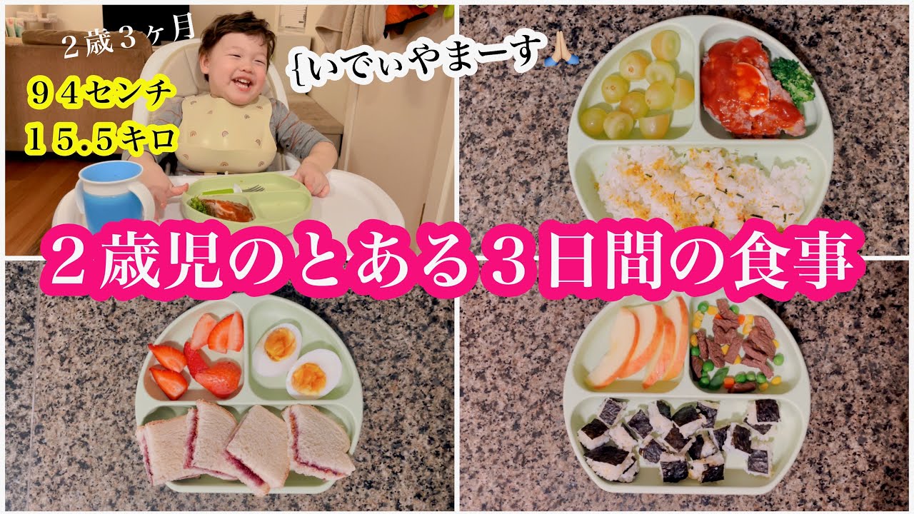 2 歳 食事