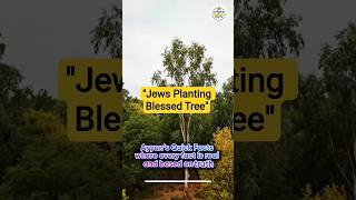Why Are Jews Planting the “Blessed Tree”?  #shortsfeed #facts