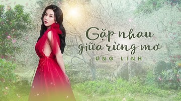 Gặp nhau giữa rừng mơ Ưng Linh