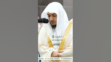 ولا تقولوا لما تصف ألسنتكم الكذب_تلاوة مرئية من صلاة الفجر 7 ربيع الآخر 1446هـ_الشيخ الوليد الشمسان