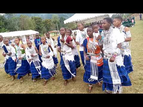 Olkilikwai BY Anita Petro