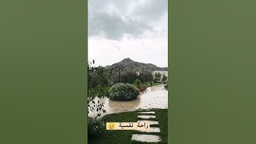 #تلاوة_رائعة #تلاوة_خاشعة #تلاوة_هادئة #تجويد #قرآن #تلاوات_جميلة #مطر #غيث #الجزائر #السعودية