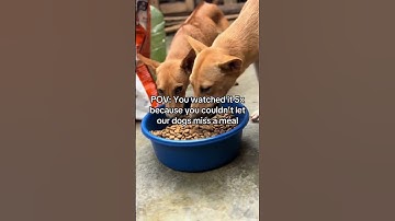 To support, just click the link in channel description.Every pledge counts and is truly appreciated!