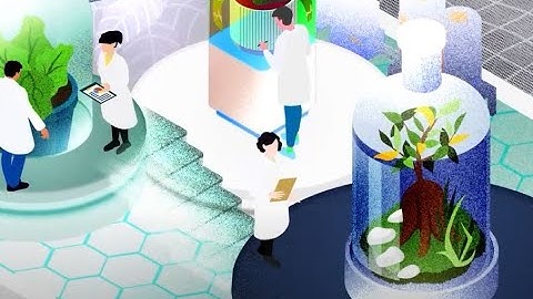 Decades Animation Video 1