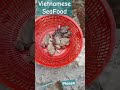 🐸 Frog || Sea Food | Vietnam @HanishJwanish