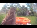 Bird 🐦 Video morning today 