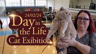 A Day in the Life at the Cat Exhibition