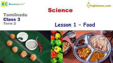 Tamilnadu Samacheer - Class 3 (2021-22) Study materials - Term 2 - Science - Lesson 1- Food