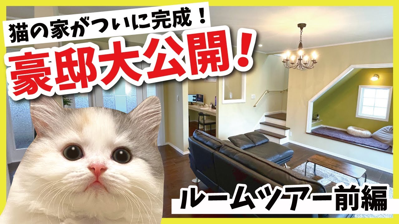猫のために作ったとんでもない豪邸のルームツアー【前編】【関西弁で