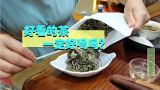 【老吴巡茶】“粗枝大叶”的云南古树白茶，喝起来怎么样？品质好吗？