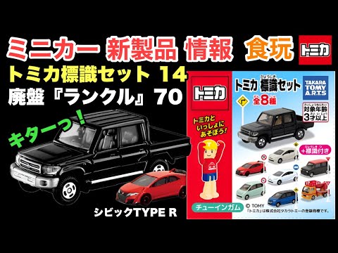 トミカ　非売品　14台セット トミカ 非売品 14台セット TOMY (トミー) NEW DX R/Cトミカ
