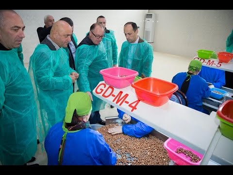 \"ჯეოდემო\"- თანამედროვე სტანდარტებით აღჭურვილი საწარმო წალენჯიხაში