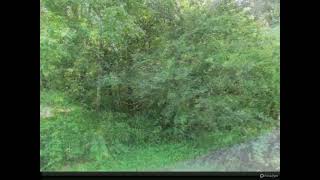 Century 21 Cumberland Realty - 2.17 Belmont Church Rd