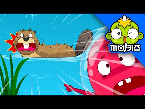 동물구조대 #06 - 집짓기 선수들 [깨비키즈 KEBIKIDS] 동물친구 비버를 구해주세요