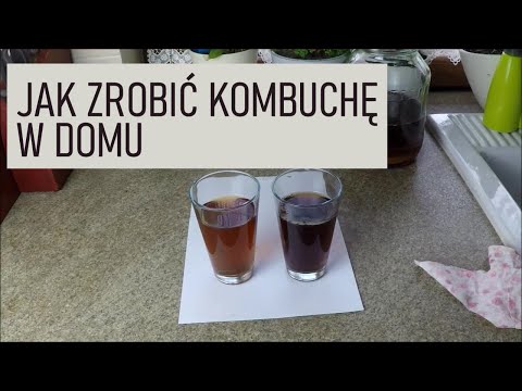 Wideo: Kombucha: Jak Rosnąć Od Zera W Domu, Krok Po Kroku