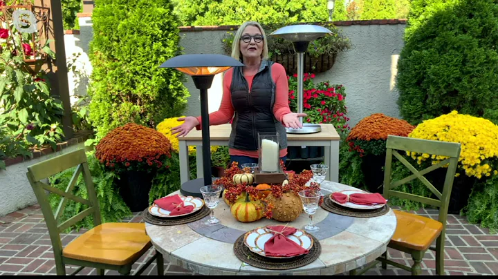 Barbara King 1500 Watt Stainless Steel Tabletop He...