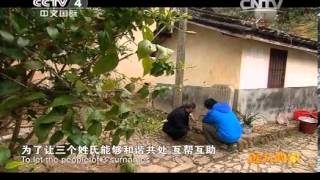 20140226  《远方的家》 百山百川行（214）——博平岭 行走亚热带雨林