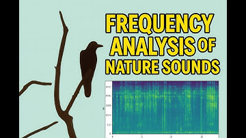 Frequentieanalyse van natuurgeluiden met behulp van FFT en Mel-spectrogram | Python + Audacity
