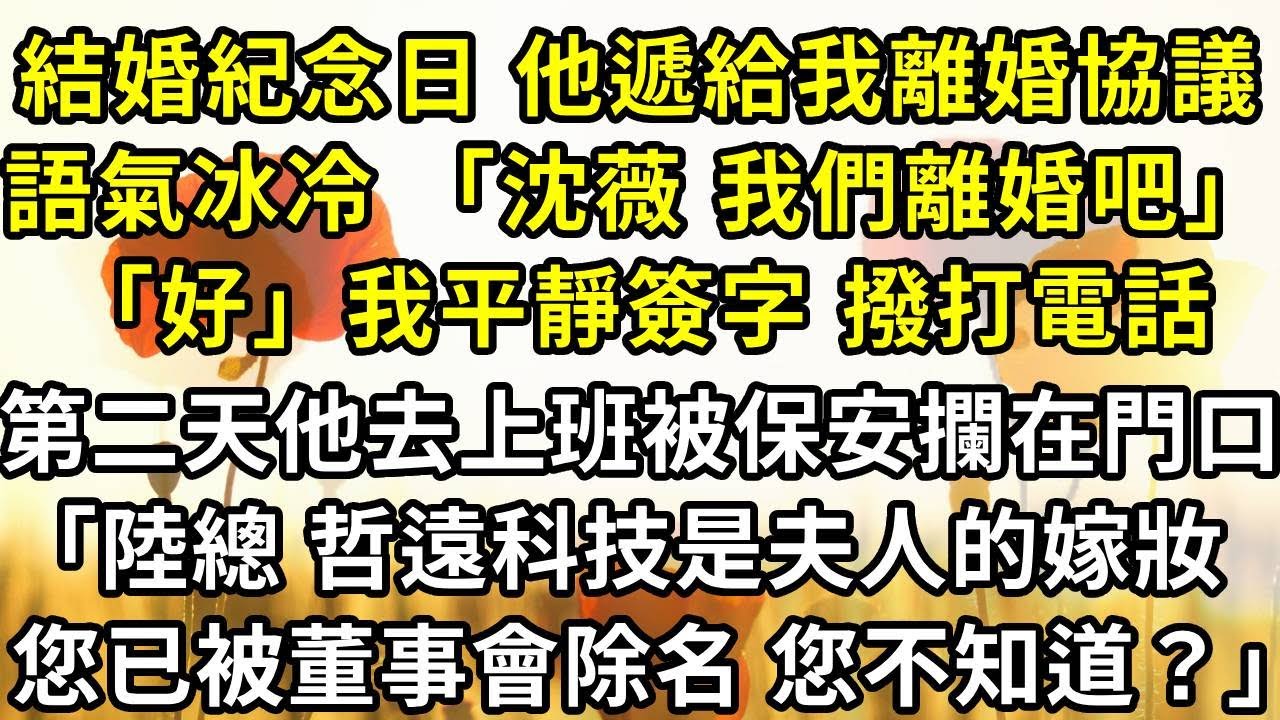 結婚紀念日那天，他遞給我離婚協議，語氣冰冷 「沈薇，我們離婚吧」「好」我平靜簽字 撥打電話，第二天他去上班被保安攔在門口，「陸總 哲遠科技是夫人的嫁妝，您已經被董事會除名了 您不知道？」