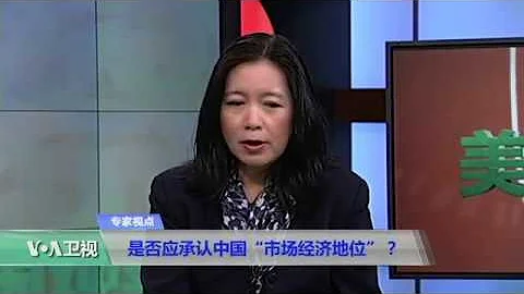时事看台(张曼莉)：是否应承认中国“市场经济地位”？ - 天天要闻