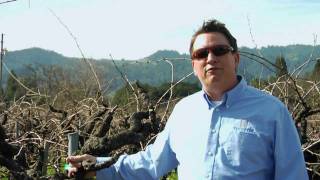 Pruning Old Vine Zin by Vinoptic