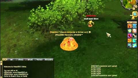 Vsro Error Skill 125