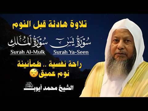 🔴 بث مباشر | قرآن قبل النوم بصوت الشيخ محمد أيوب 🎧 تلاوة تريح القلب