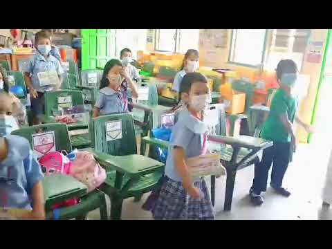 Teopilo v.Fernandez elementary school indangan Davao city