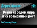 Ветви народов мира и их возможный  рост. «Дерех Ашем» (Путь Творца).  Рав Элиэзер Ксидо