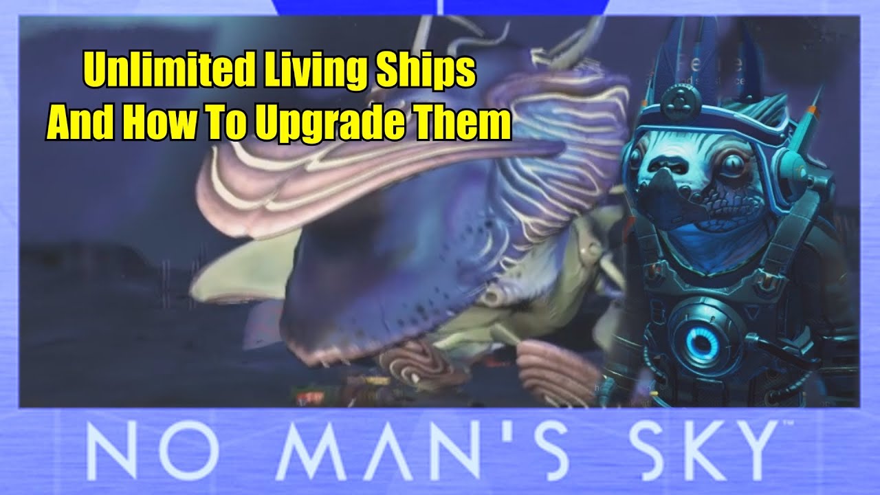 No Man's Sky Unlimited Living Ships And How To Upgrade Them YouTube