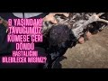 9 Yaşındaki Tavuğumuz Cimcime Kümese Geri Döndü!